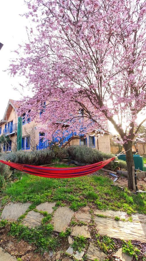 Albergue De Peregrinos Casa Flor Murias de Rechivaldo Buitenkant foto