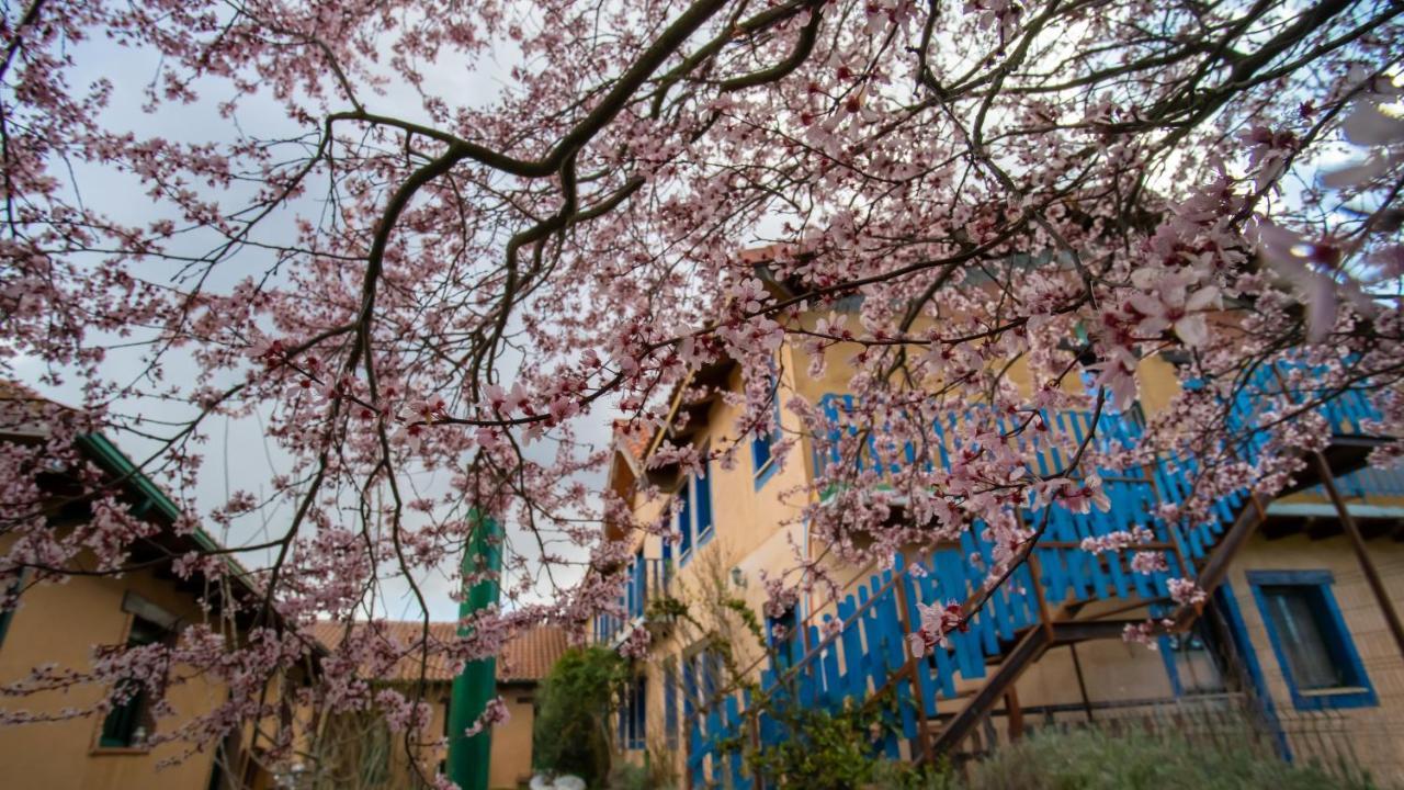 Albergue De Peregrinos Casa Flor Murias de Rechivaldo Buitenkant foto
